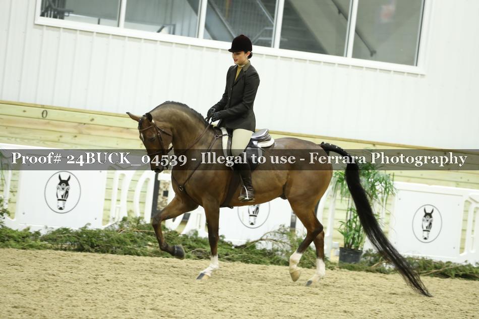 Proof 24BUCK_04539