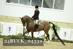 24BUCK_04539 proof