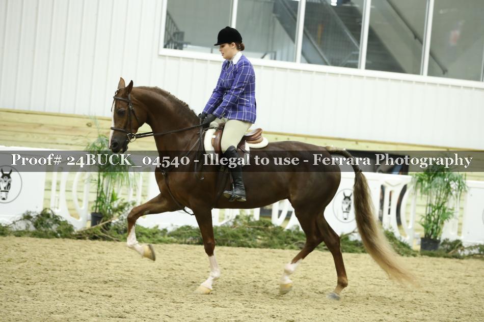Proof 24BUCK_04540