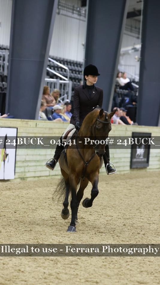 Proof 24BUCK_04541