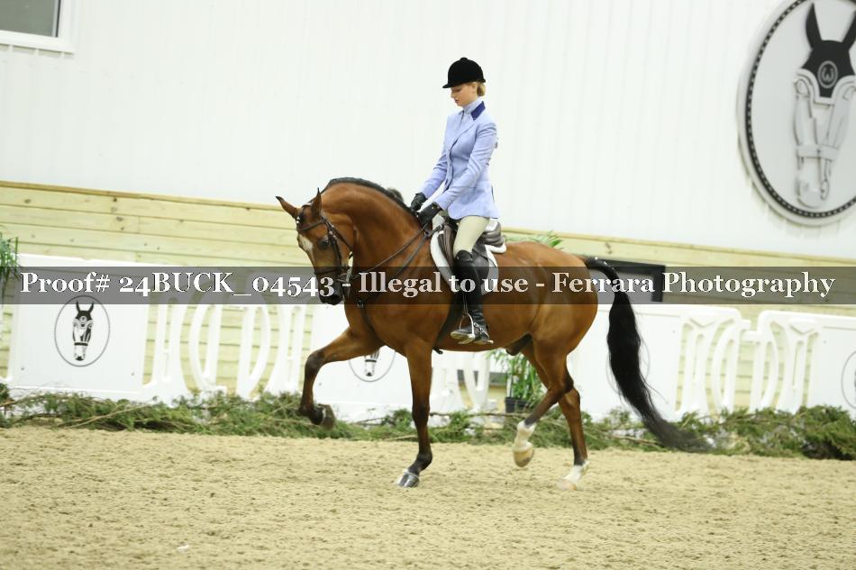 Proof 24BUCK_04543