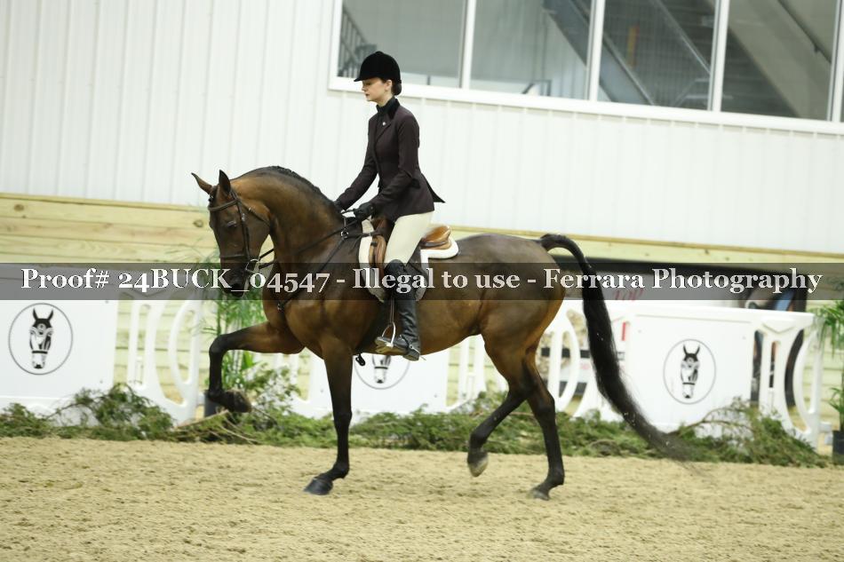 Proof 24BUCK_04547