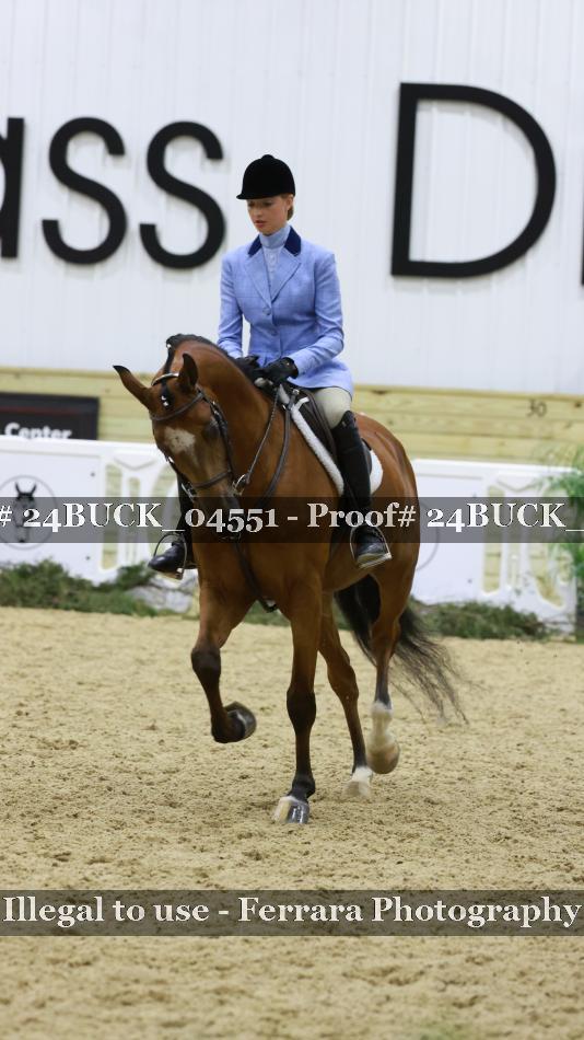 Proof 24BUCK_04551