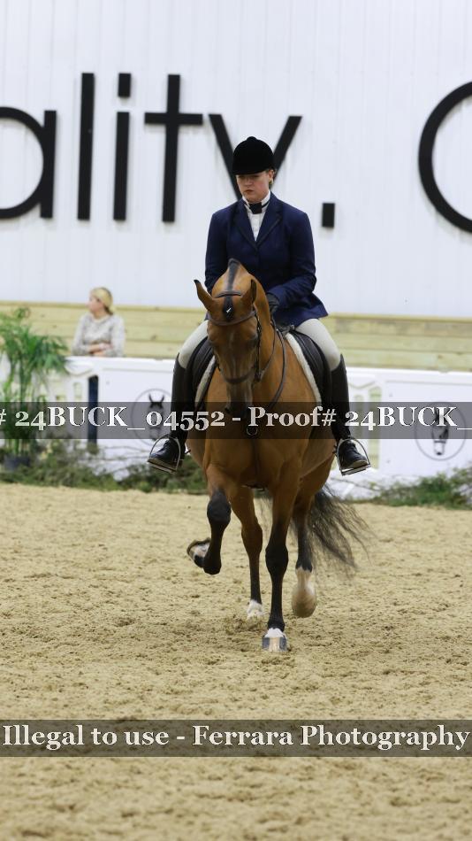 Proof 24BUCK_04552