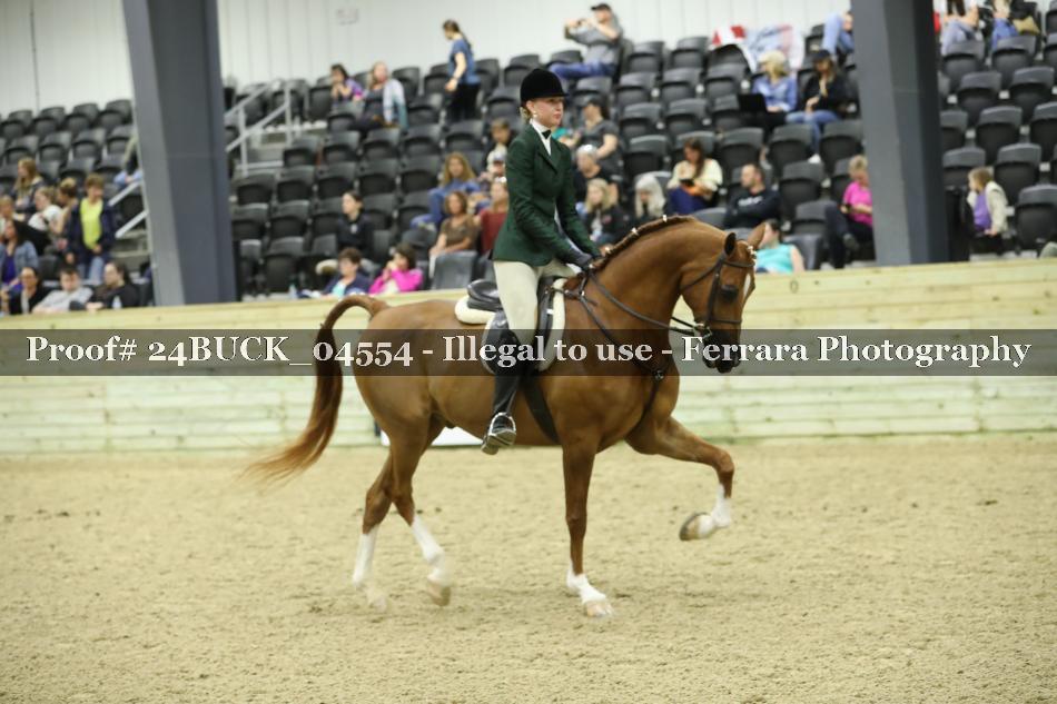 Proof 24BUCK_04554