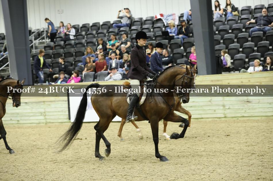 Proof 24BUCK_04556