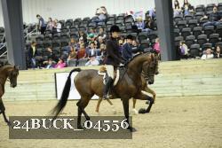 24BUCK_04556 proof