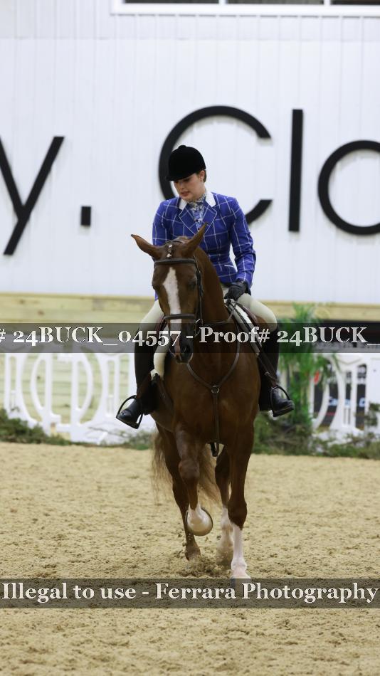Proof 24BUCK_04557