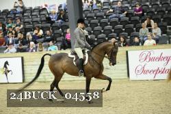24BUCK_04558 proof