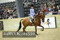 24BUCK_04559 proof