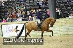 24BUCK_04562 proof