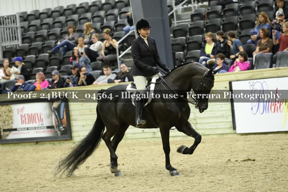 Proof 24BUCK_04564