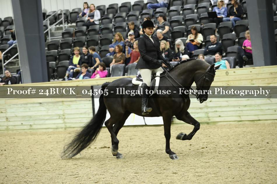 Proof 24BUCK_04565