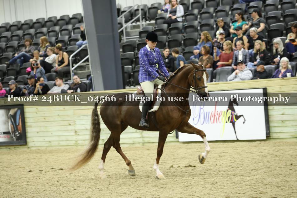 Proof 24BUCK_04566