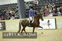 24BUCK_04566 proof