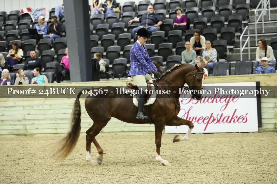 Proof 24BUCK_04567