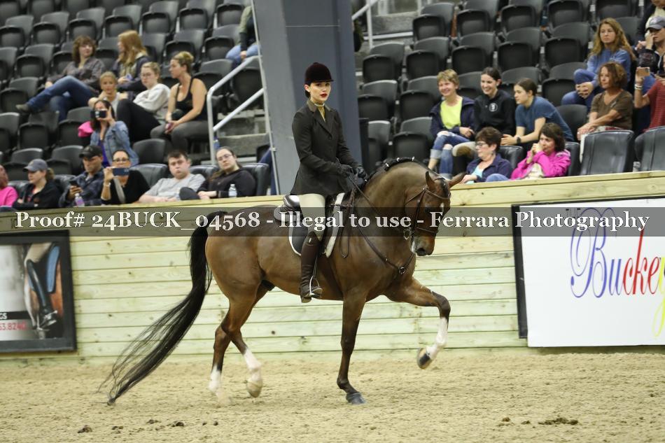 Proof 24BUCK_04568