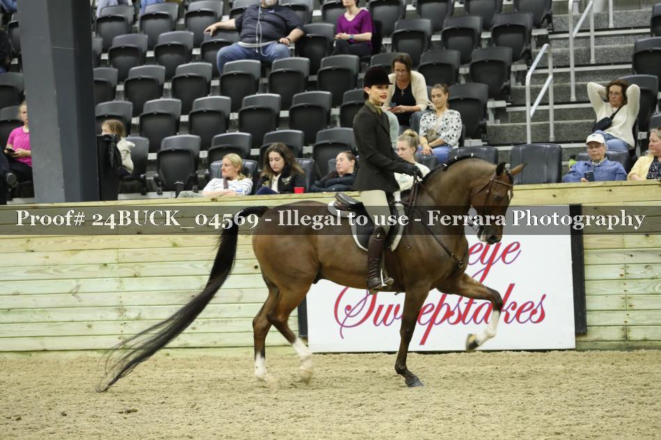Proof 24BUCK_04569