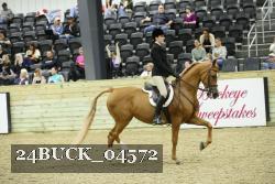 24BUCK_04572 proof