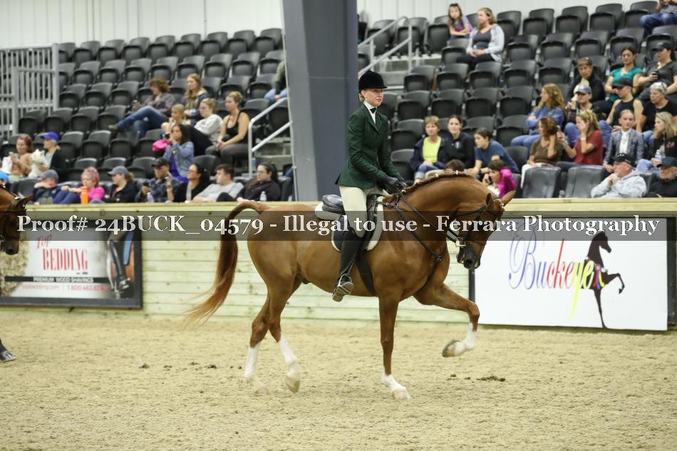 Proof 24BUCK_04579