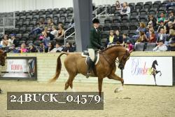 24BUCK_04579 proof