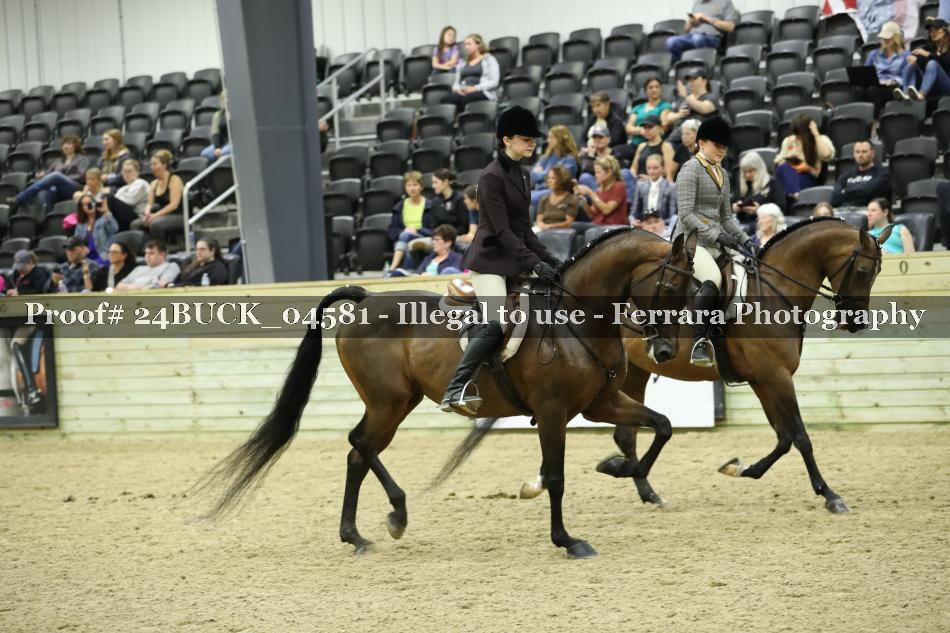 Proof 24BUCK_04581
