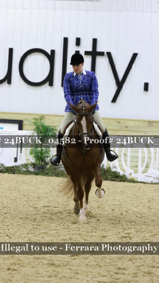 Proof 24BUCK_04582