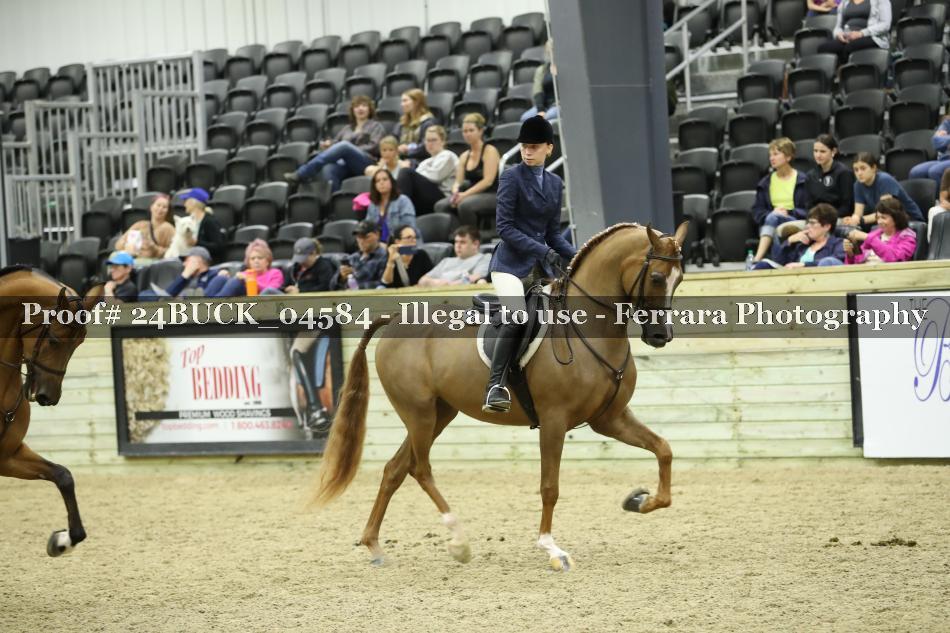 Proof 24BUCK_04584