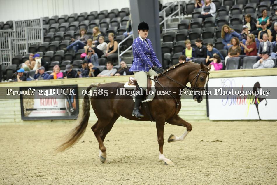 Proof 24BUCK_04585