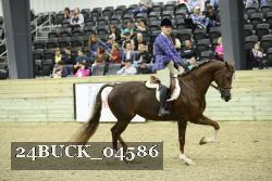 24BUCK_04586 proof