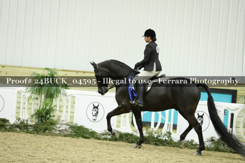 Proof 24BUCK_04595