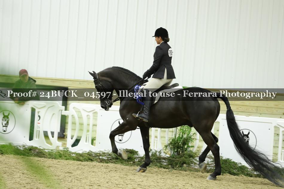 Proof 24BUCK_04597