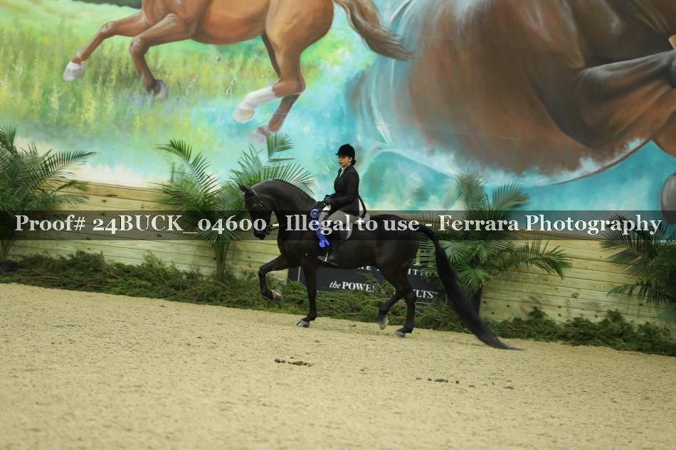 Proof 24BUCK_04600