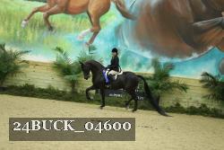 24BUCK_04600 proof