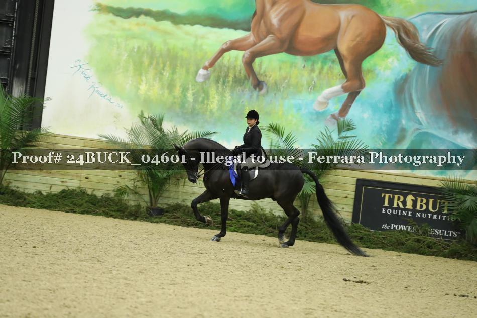 Proof 24BUCK_04601