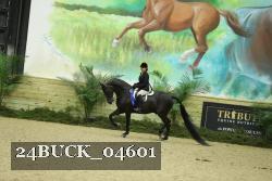 24BUCK_04601 proof