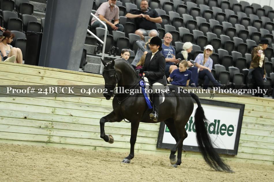 Proof 24BUCK_04602
