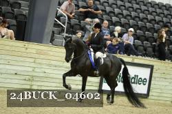 24BUCK_04602 proof