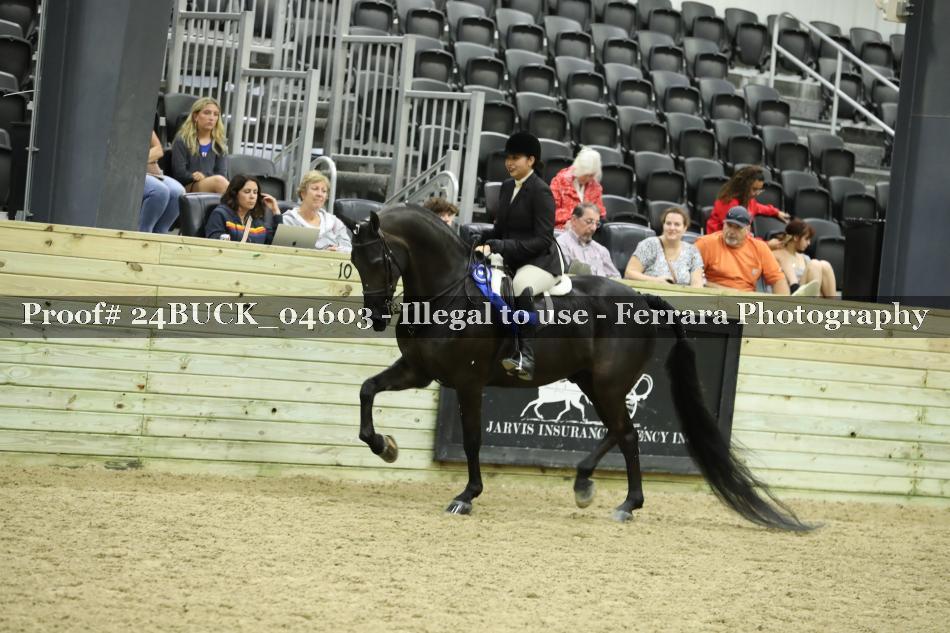 Proof 24BUCK_04603