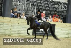 24BUCK_04603 proof