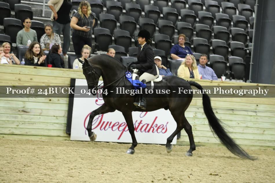 Proof 24BUCK_04604