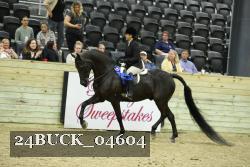 24BUCK_04604 proof