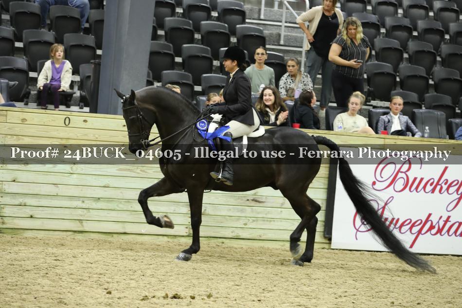Proof 24BUCK_04605