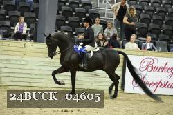 24BUCK_04605 proof
