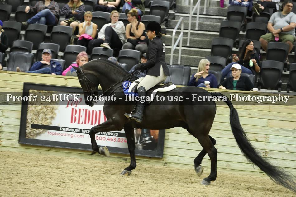 Proof 24BUCK_04606