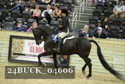 24BUCK_04606 proof