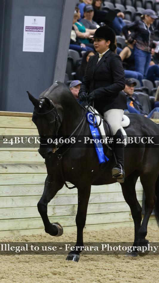 Proof 24BUCK_04608