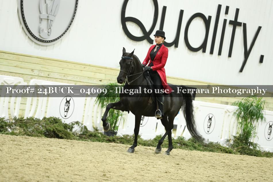 Proof 24BUCK_04609