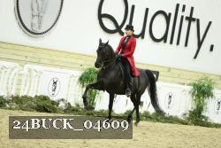 24BUCK_04609 proof