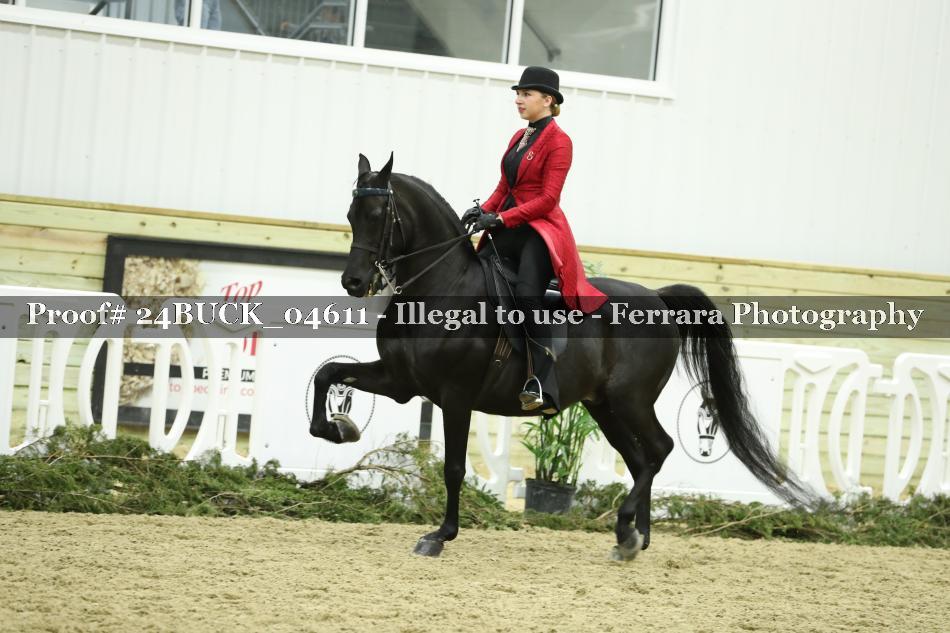 Proof 24BUCK_04611